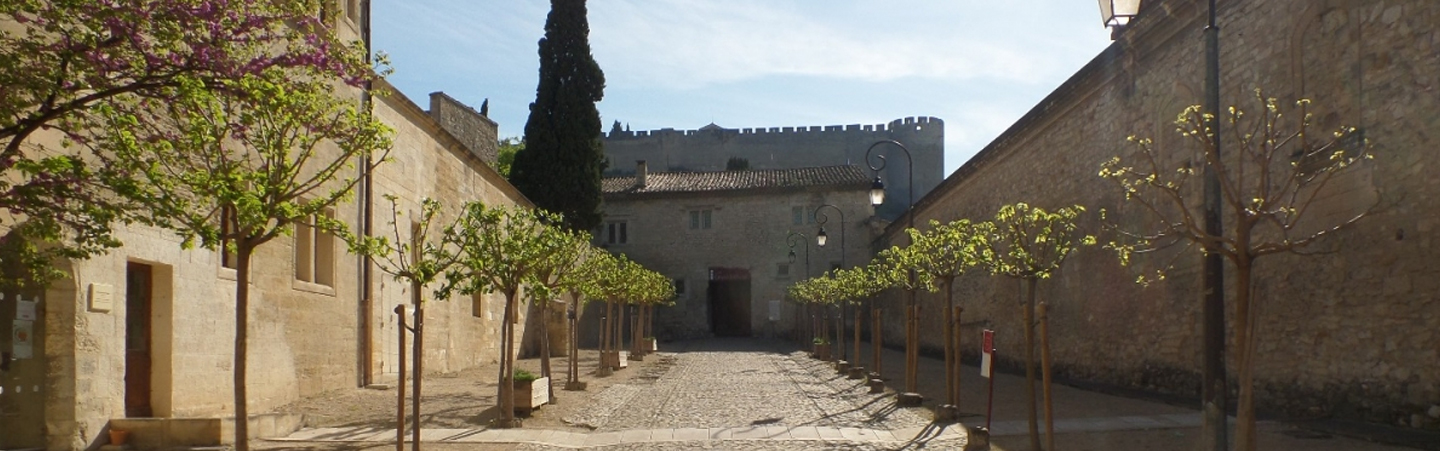 Loi Monuments Historiques à Villeneuve-lès-Avignon 30400 - Villas des Greniers
